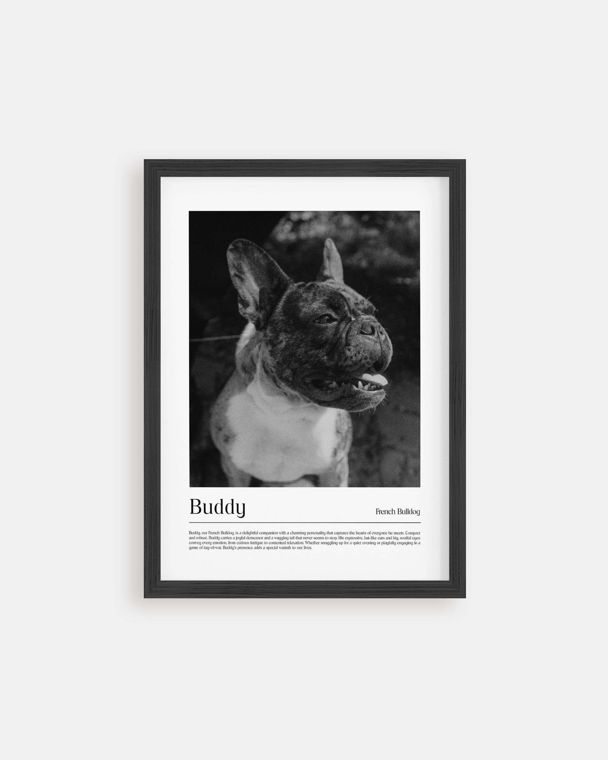 dog photo printed as black and white art and custom framed and personalized in modern home decor setting making a unique custom gift for dog mom and dog dad pet parents created by vogue paws personalized pet portraits