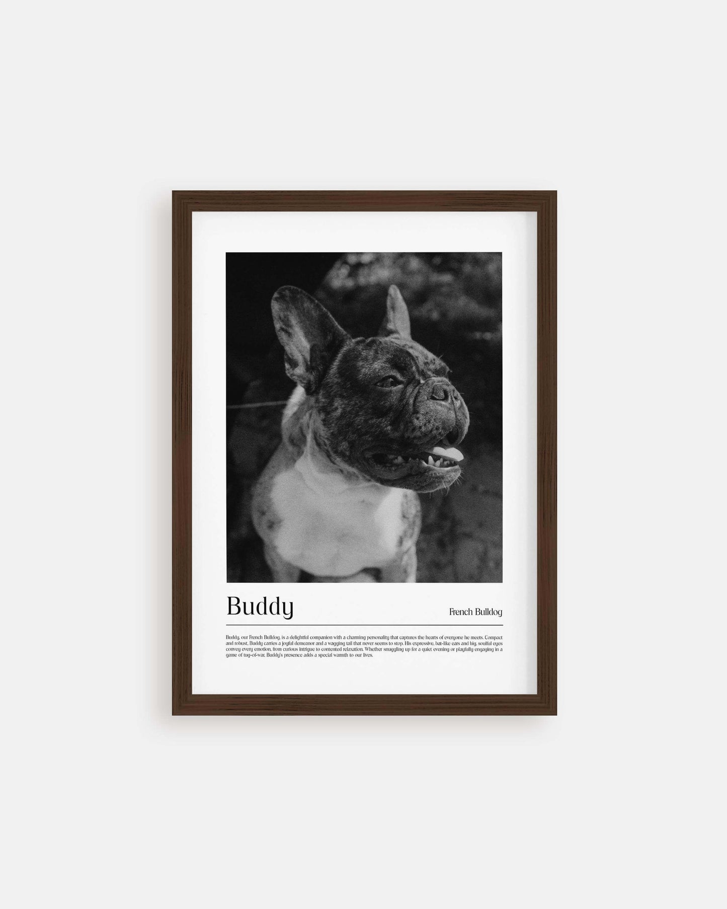 dog photo printed as black and white art and custom framed and personalized in modern home decor setting making a unique custom gift for dog mom and dog dad pet parents created by vogue paws personalized pet portraits