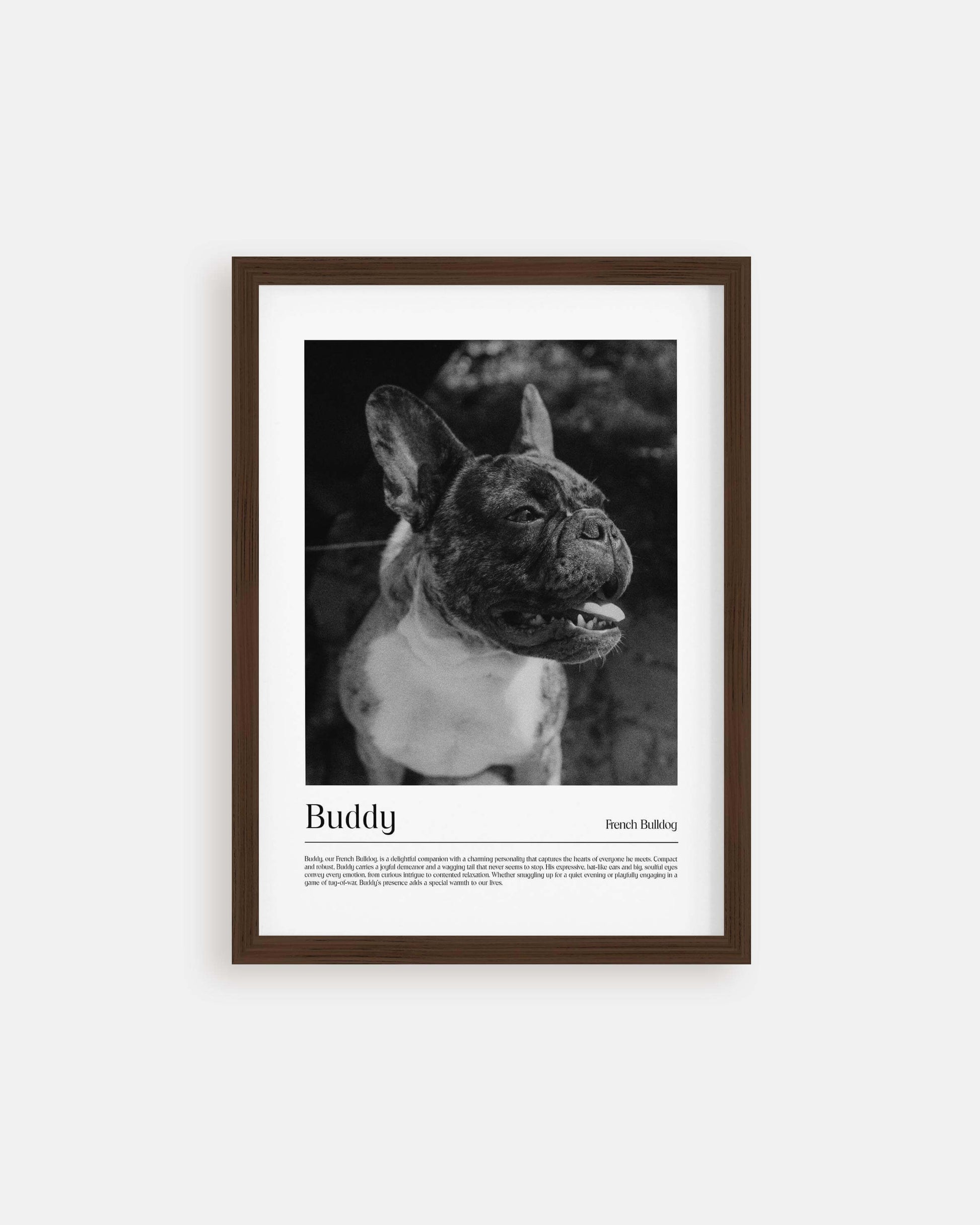dog photo printed as black and white art and custom framed and personalized in modern home decor setting making a unique custom gift for dog mom and dog dad pet parents created by vogue paws personalized pet portraits