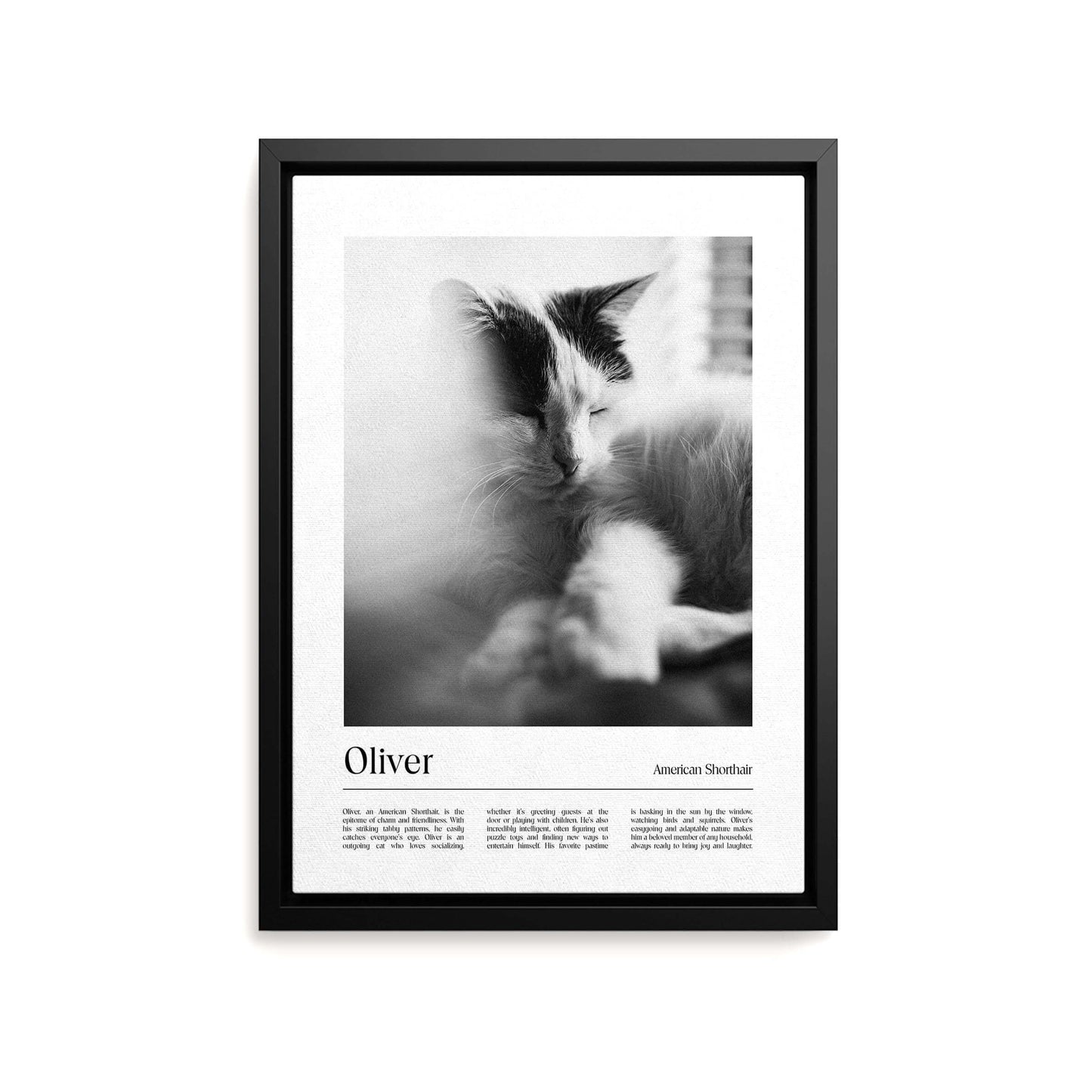 Personalized cat memorial portrait on canvas with custom details, featuring a custom photo of a beloved feline. Ideal for custom pet portraits or cat memorial gift ideas, this artwork serves as a beautiful cat memorial gift or personal pet art for the home. Perfect for custom pet canvas, personalized pet portrait art, cat memorial gifts and custom cat artwork.