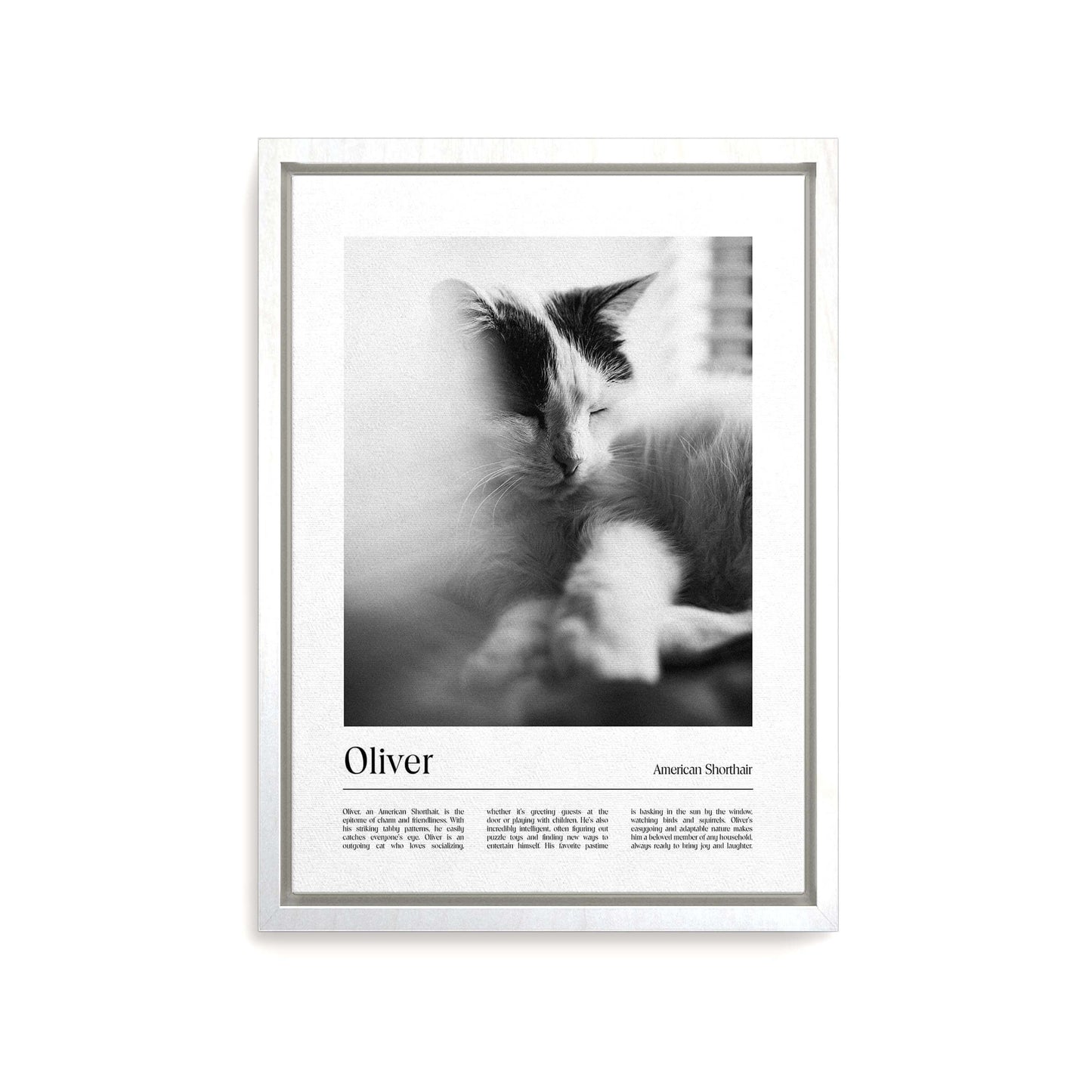 Personalized cat memorial portrait on canvas with custom details, featuring a custom photo of a beloved feline. Ideal for custom pet portraits or cat memorial gift ideas, this artwork serves as a beautiful cat memorial gift or personal pet art for the home. Perfect for custom pet canvas, personalized pet portrait art, cat memorial gifts and custom cat artwork.
