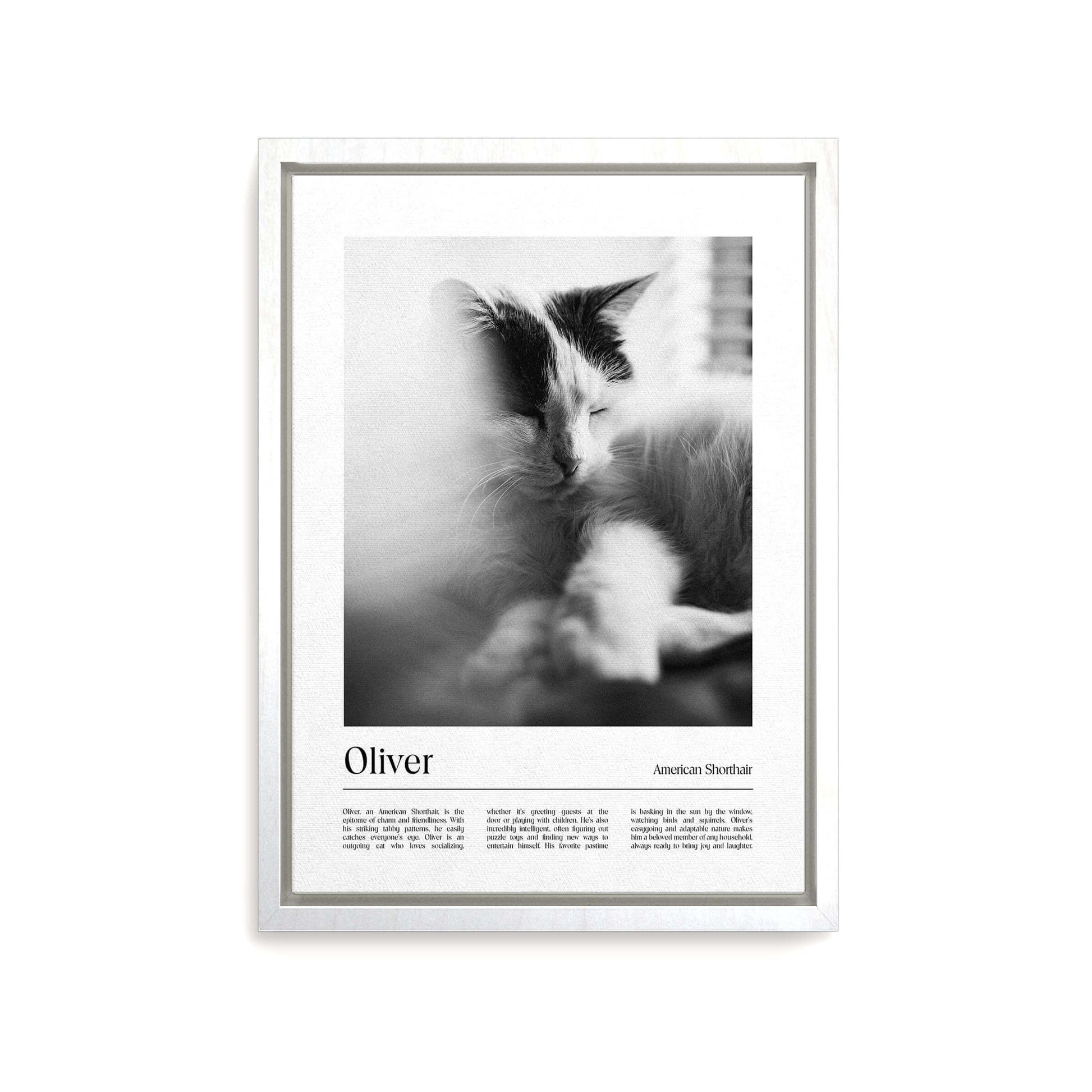 Personalized cat portrait on canvas with custom details, featuring a custom photo of a beloved feline. Ideal for custom pet portraits, this artwork serves as a beautiful cat memorial gift or personal pet art for the home. Perfect for custom pet canvas, personalized pet portrait art, and custom cat artwork.
