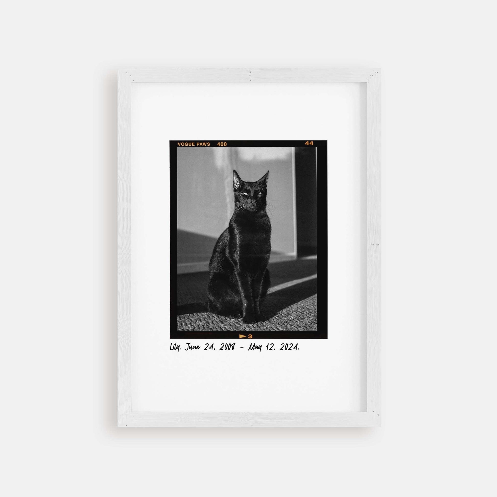 Personalized cat portrait in a picture frame with custom details, featuring a custom photo of a beloved feline. Ideal for custom pet portraits, this artwork serves as a beautiful cat memorial gift or personal pet art for the home. Perfect for custom pet frames, personalized pet portrait art, and custom cat artwork.