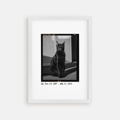 Personalized cat portrait in a picture frame with custom details, featuring a custom photo of a beloved feline. Ideal for custom pet portraits, this artwork serves as a beautiful cat memorial gift or personal pet art for the home. Perfect for custom pet frames, personalized pet portrait art, and custom cat artwork.