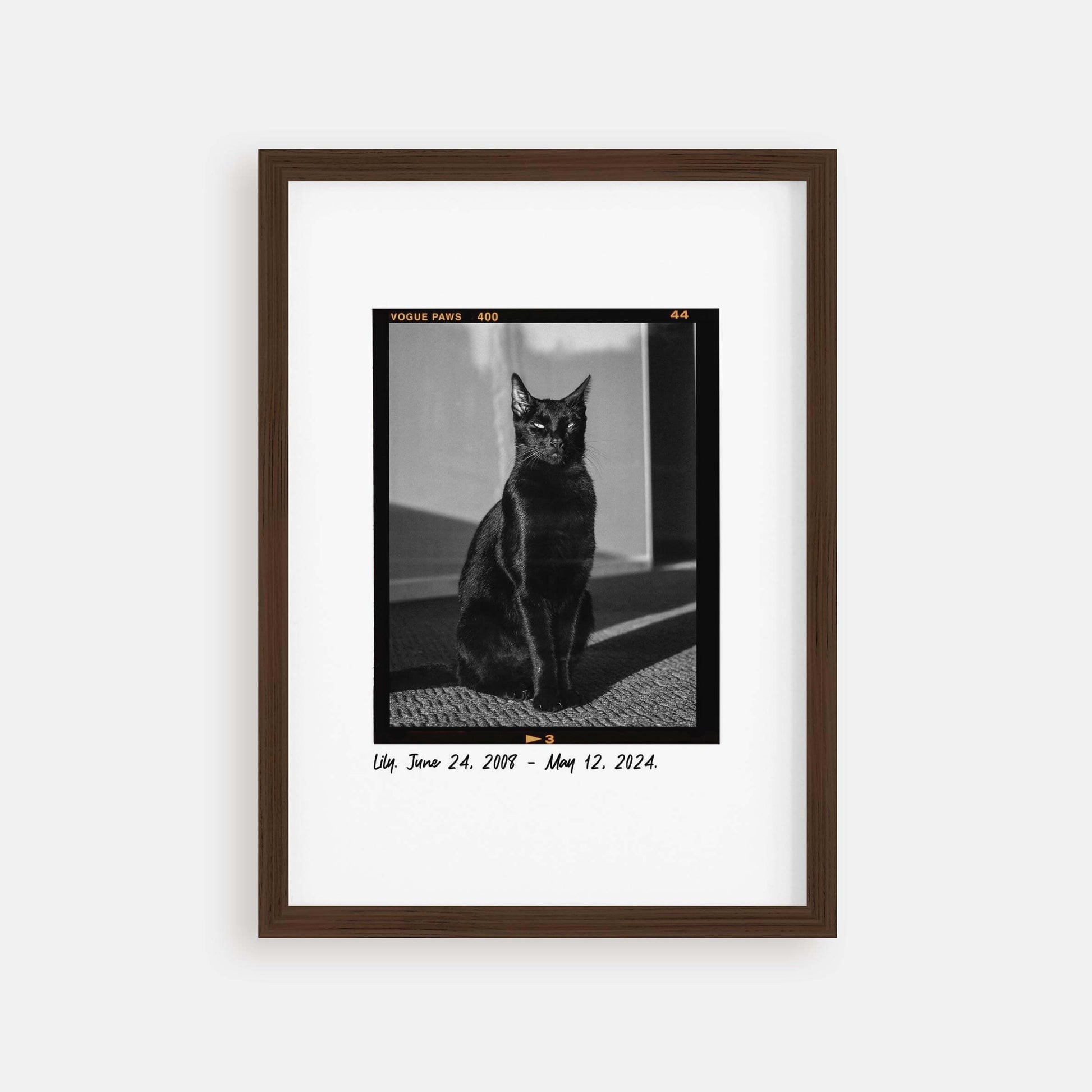 personalized cat memorial gift idea