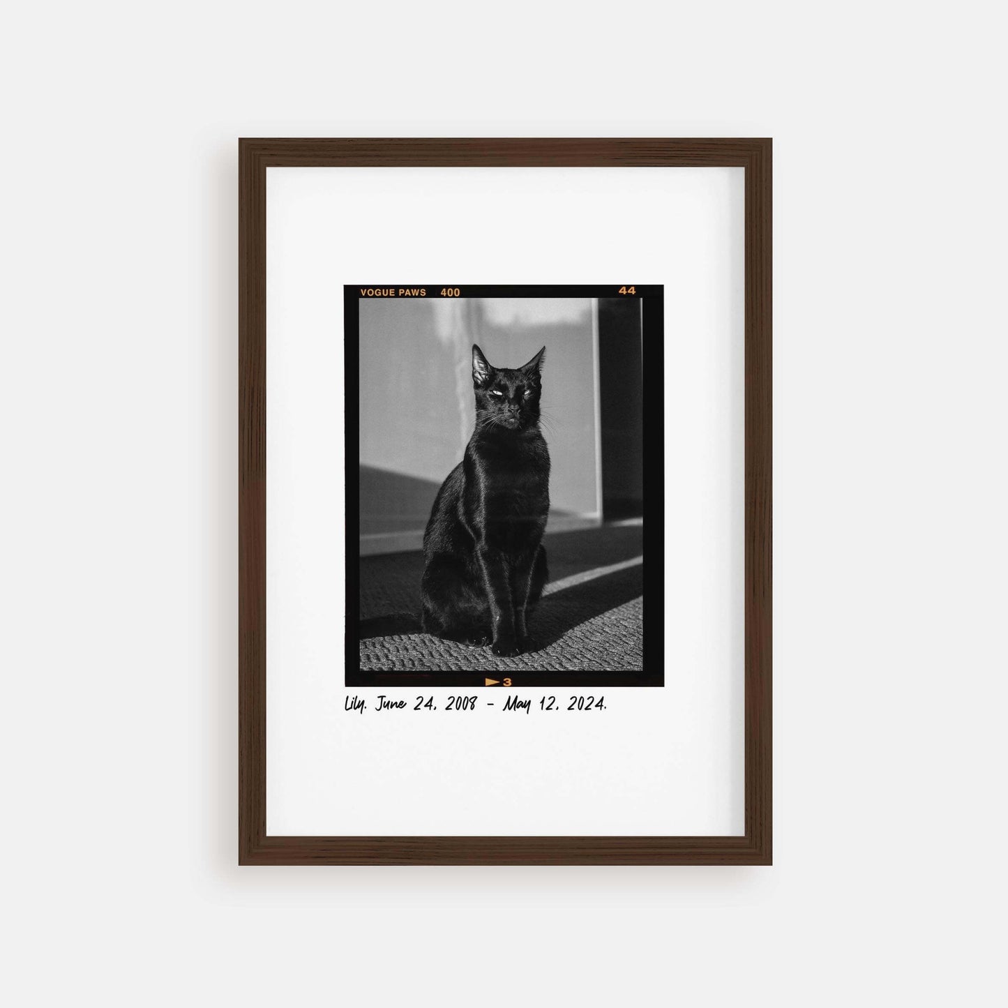 Personalized cat portrait in a picture frame with custom details, featuring a custom photo of a beloved feline. Ideal for custom pet portraits, this artwork serves as a beautiful cat memorial gift or personal pet art for the home. Perfect for custom pet frames, personalized pet portrait art, and custom cat artwork.