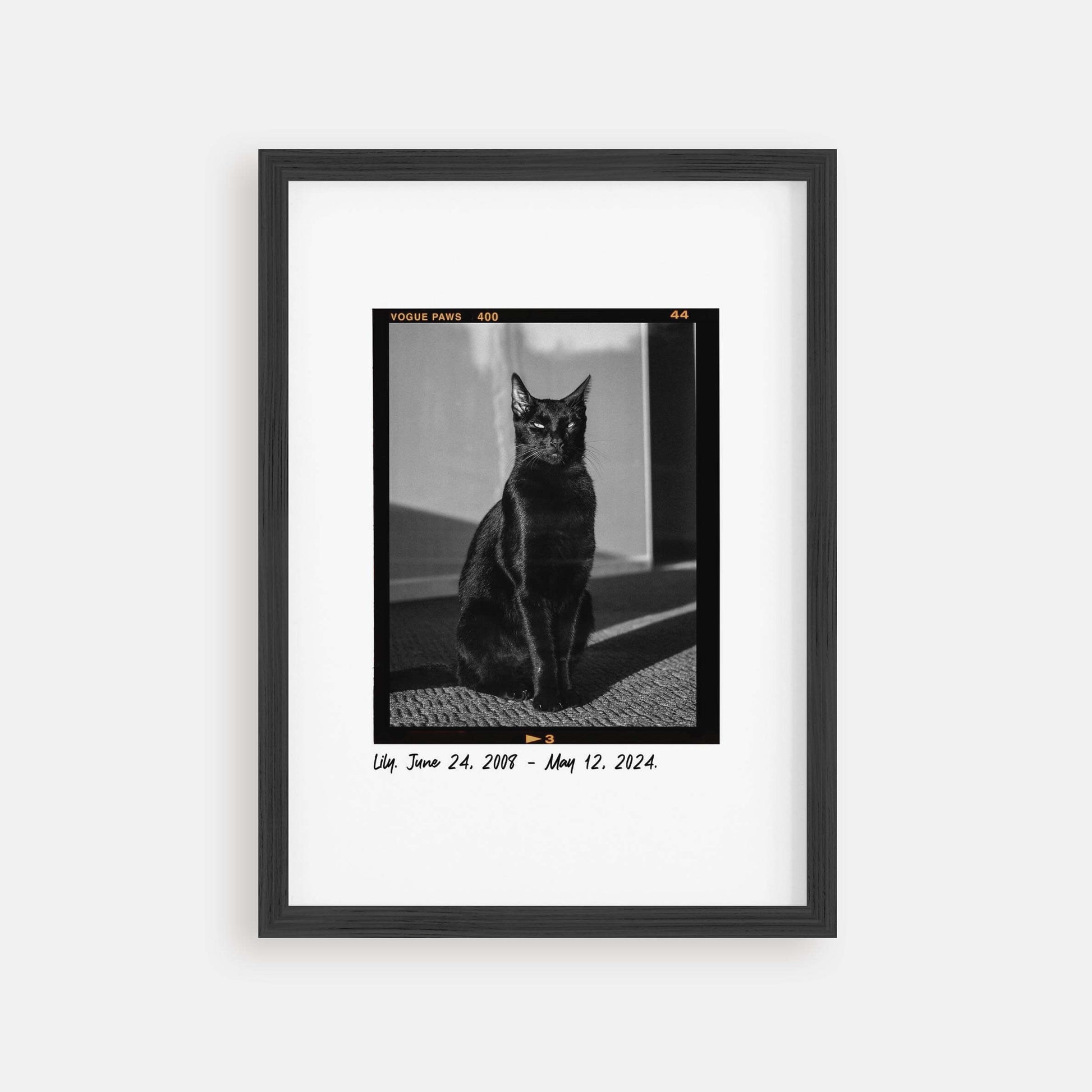 personalized cat memorial gift idea