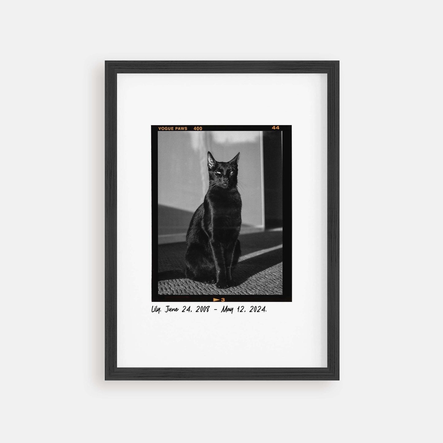 Personalized cat portrait in a picture frame with custom details, featuring a custom photo of a beloved feline. Ideal for custom pet portraits, this artwork serves as a beautiful cat memorial gift or personal pet art for the home. Perfect for custom pet frames, personalized pet portrait art, and custom cat artwork.