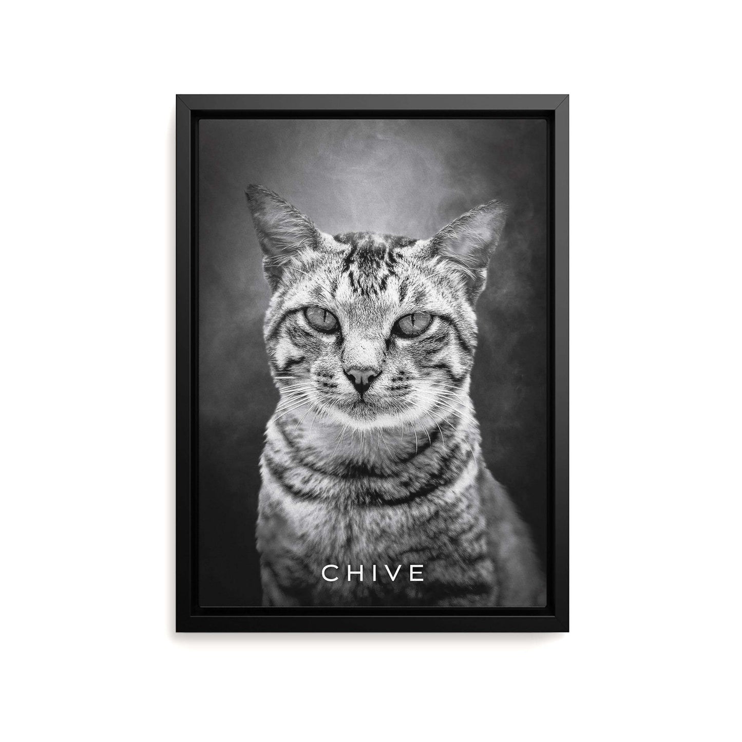 black and white personalized cat memorial gift canvas print
