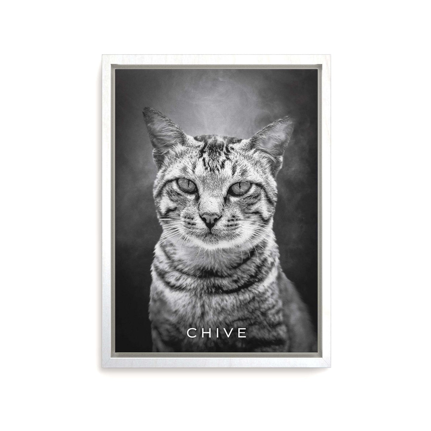 black and white personalized cat memorial gift canvas print