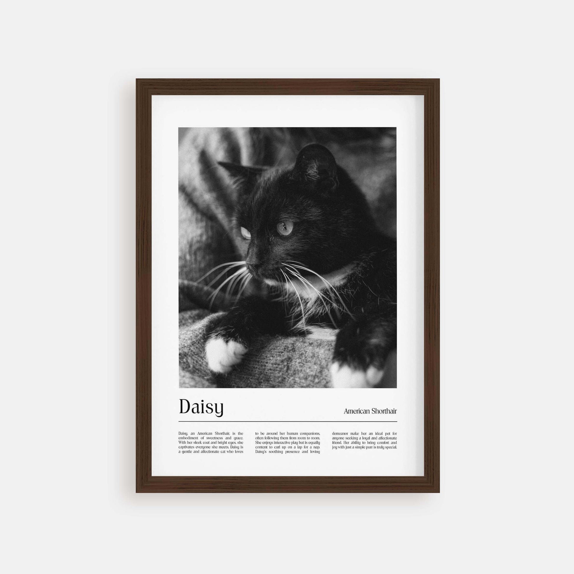 Personalized cat portrait in a picture frame with custom details, featuring a custom photo of a beloved feline. Ideal for custom pet portraits, this artwork serves as a beautiful cat memorial gift or personal pet art for the home. Perfect for custom pet frames, personalized pet portrait art, and custom cat artwork.
