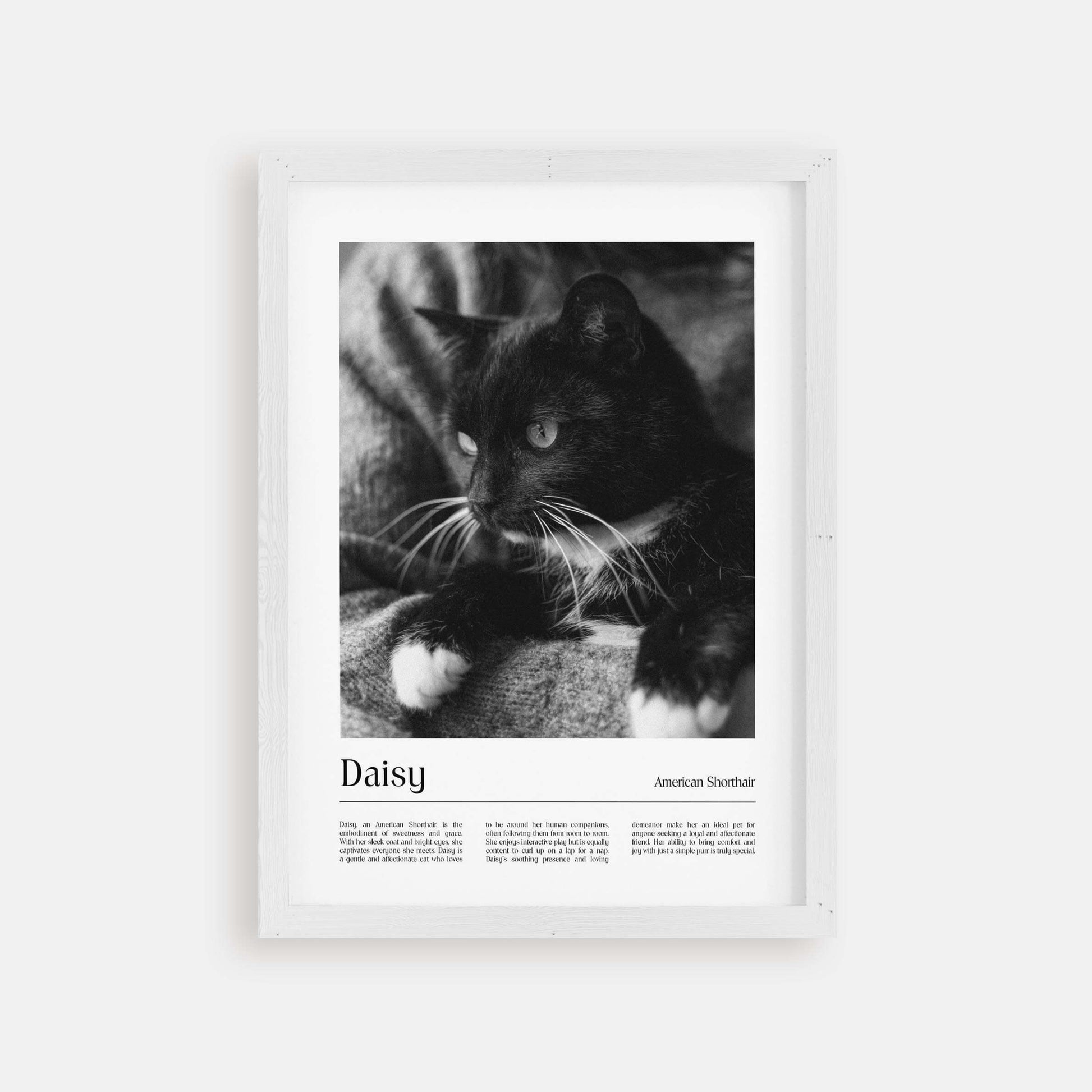Personalized cat portrait in a picture frame with custom details, featuring a custom photo of a beloved feline. Ideal for custom pet portraits, this artwork serves as a beautiful cat memorial gift or personal pet art for the home. Perfect for custom pet frames, personalized pet portrait art, and custom cat artwork.