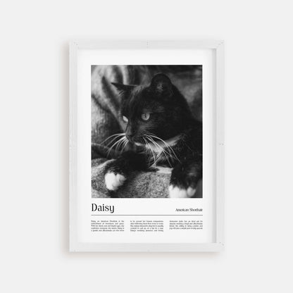 Personalized cat portrait in a picture frame with custom details, featuring a custom photo of a beloved feline. Ideal for custom pet portraits, this artwork serves as a beautiful cat memorial gift or personal pet art for the home. Perfect for custom pet frames, personalized pet portrait art, and custom cat artwork.