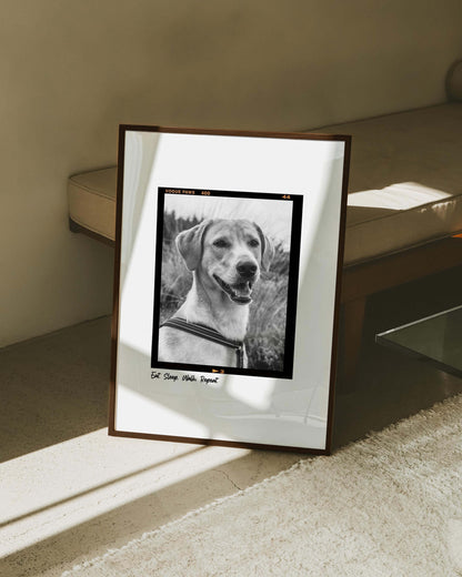 Black and white art dog photo custom fine art pet portrait in film negative vintage art style made by vogue paws creators of the best pet portrait art gifts for dog mom and dog dad pet parents and pet lovers or sympathy gift pet memorial ideas