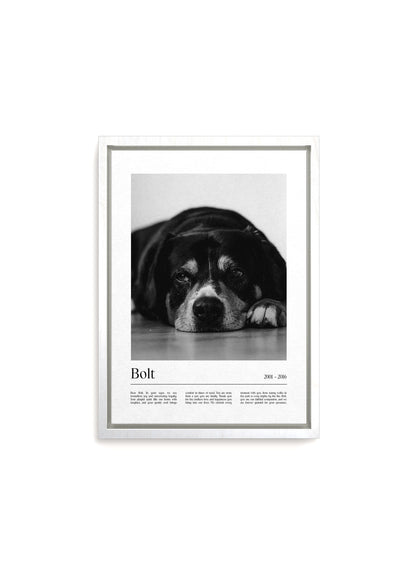 Unique Pet Memorial Ideas - California Custom Pet Canvas