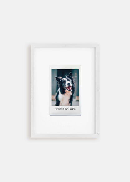 Dog memorial instant film pet art in white frame.