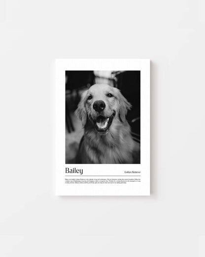 Golden retriever dog photo printed as black and white art and custom framed and personalized in modern home decor setting making a unique custom gift for dog mom and dog dad pet parents created by vogue paws personalized pet portraits