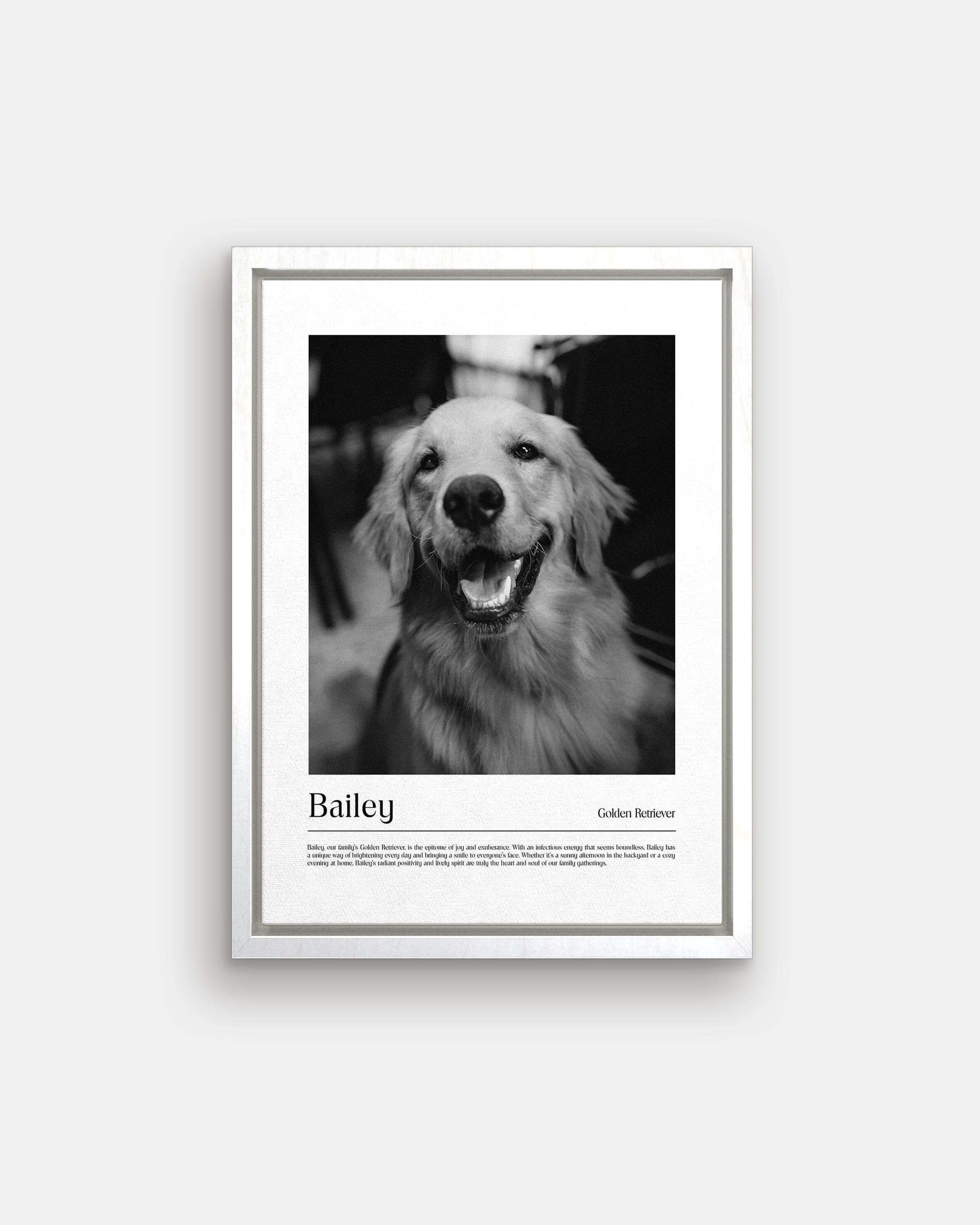 Golden retriever dog photo printed as black and white art and custom framed and personalized in modern home decor setting making a unique custom gift for dog mom and dog dad pet parents created by vogue paws personalized pet portraits