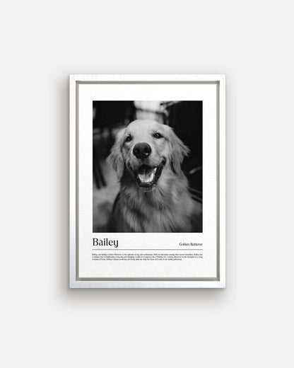 Golden retriever dog photo printed as black and white art and custom framed and personalized in modern home decor setting making a unique custom gift for dog mom and dog dad pet parents created by vogue paws personalized pet portraits