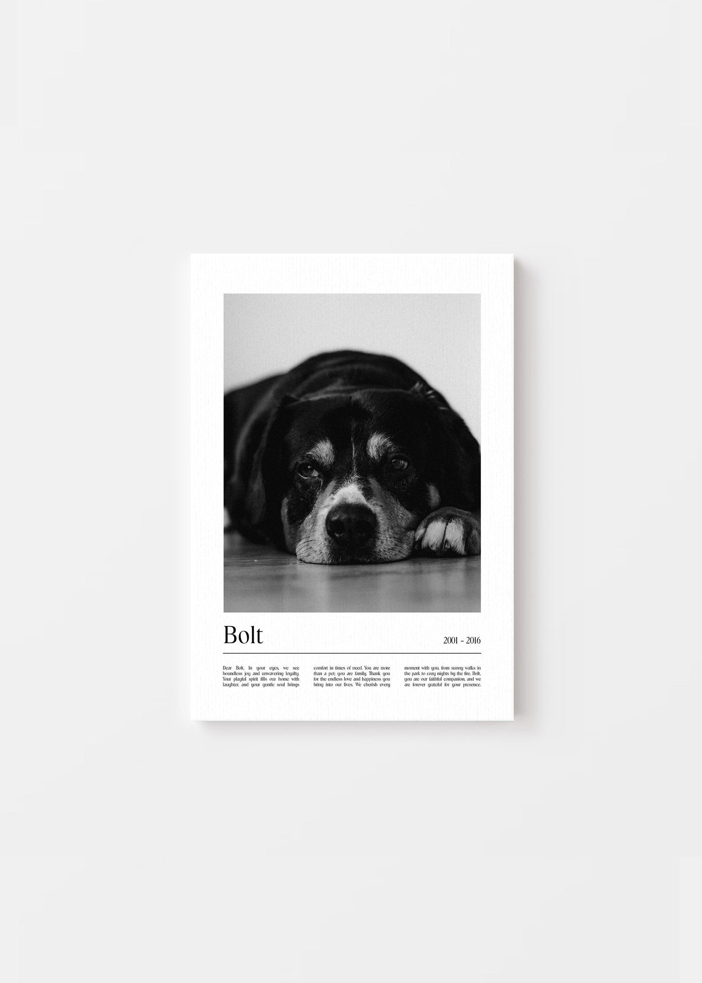 Unique Pet Memorial Ideas - California Custom Pet Canvas