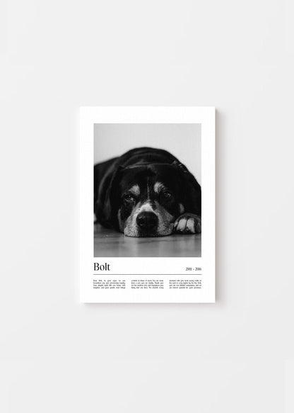 Unique Pet Memorial Ideas - California Custom Pet Canvas