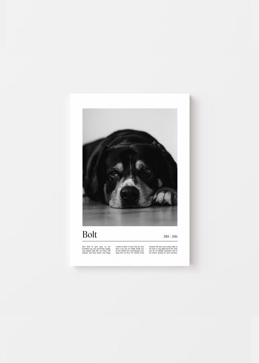 Unique Pet Memorial Ideas - California Custom Pet Canvas