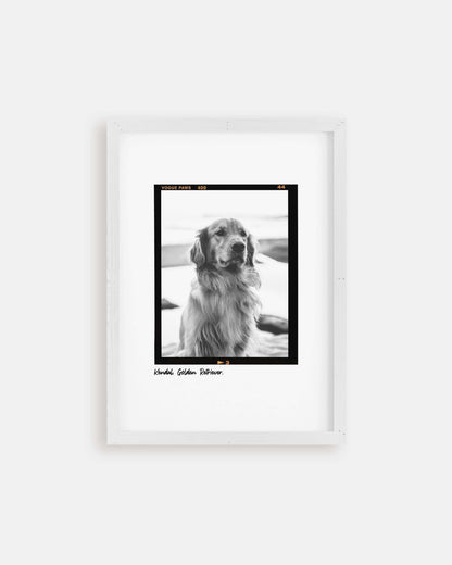 Black and white art dog photo custom fine art pet portrait in film negative vintage art style made by vogue paws creators of the best pet portrait art gifts for dog mom and dog dad pet parents and pet lovers or sympathy gift pet memorial ideas