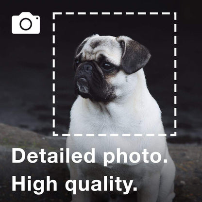 Vogue Duotone - Custom Pet Canvas - Vogue Paws
