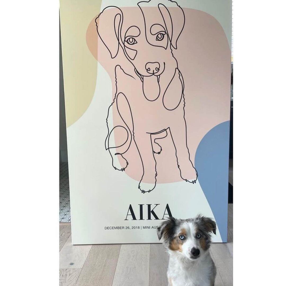 Synergy - Custom Pet Canvas