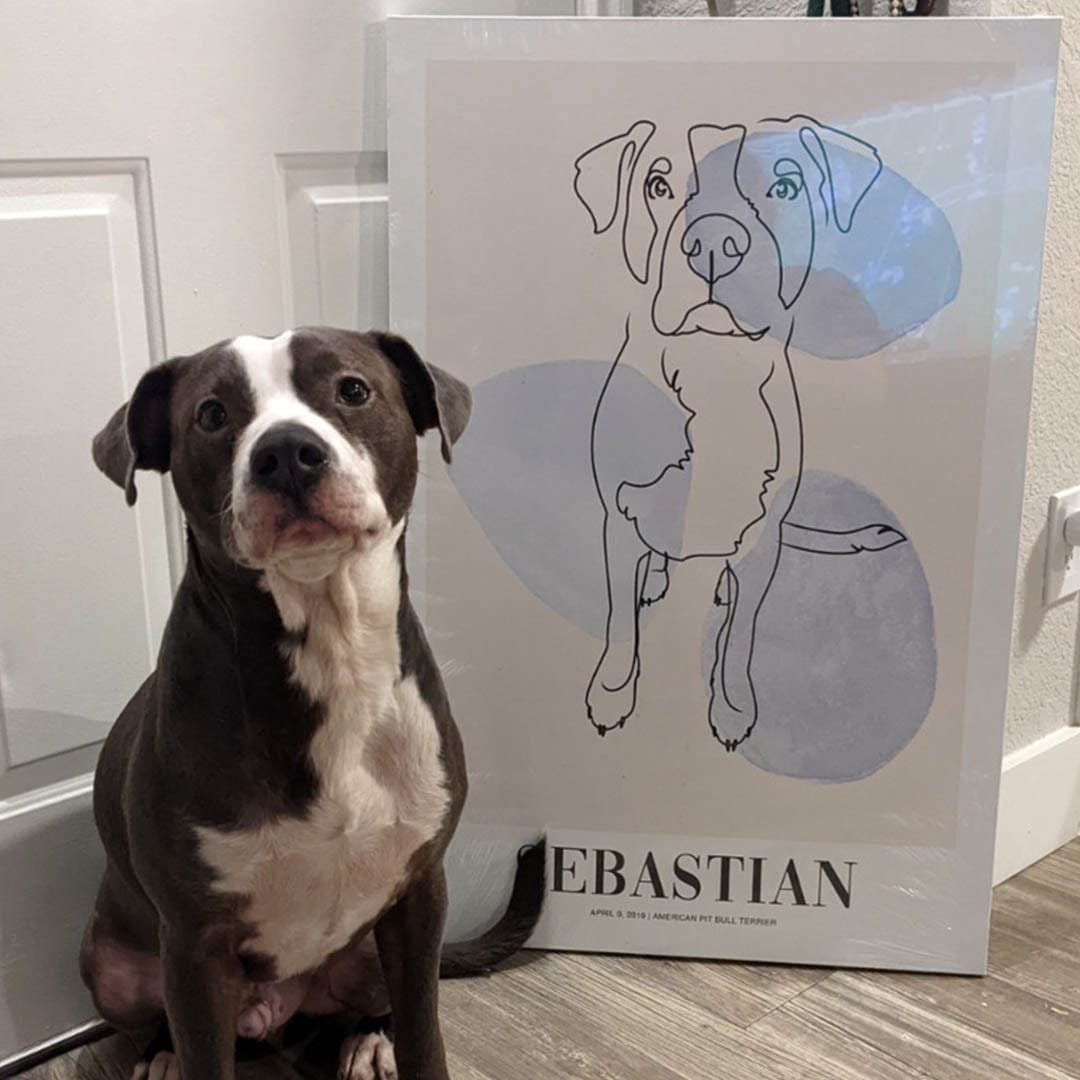 River Stones - Custom Pet Canvas