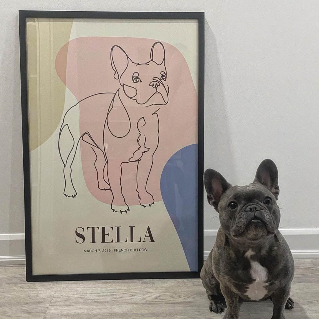 Synergy - Custom Pet Canvas