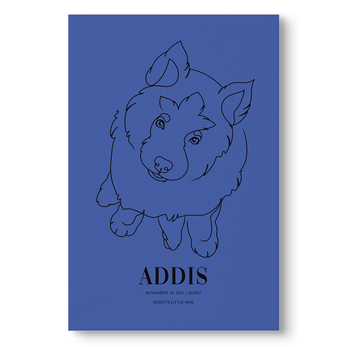 Colorways - Custom Pet Canvas - Vogue Paws